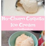 How to Make No-Churn Coquito Ice Cream - SprinkleDIY