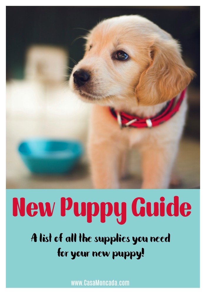 New Puppy Guide - SprinkleDIY